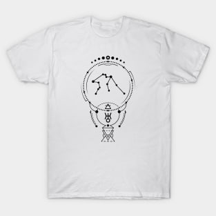 Aquarius Zodiac Sign T-Shirt